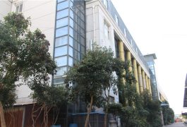 фацтори схов