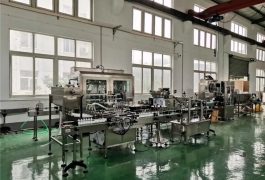 фацтори схов